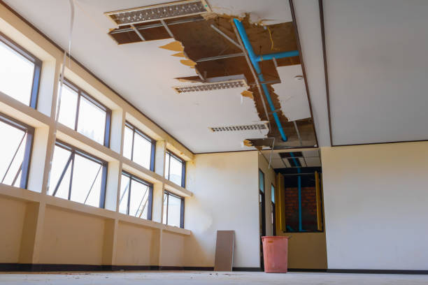 Water damage restoration mold remediation in West Columbia, TX