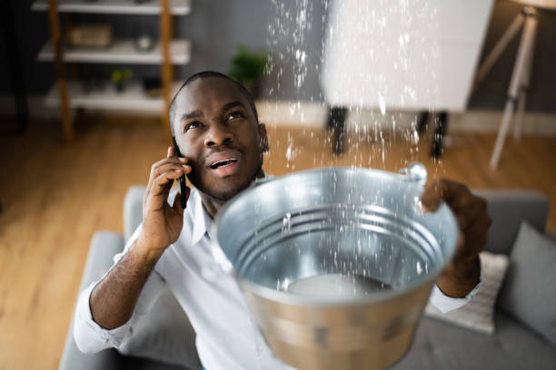 Best Flooded house restoration  in West Columbia, TX