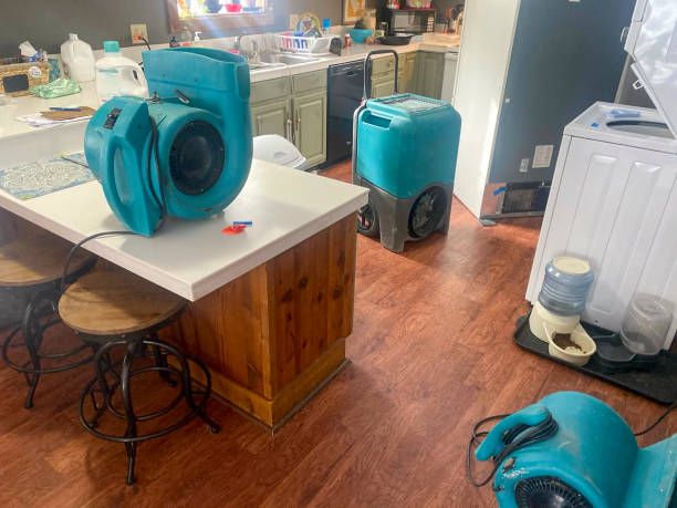 Reliable West Columbia, TX Water damage restoration Solutions