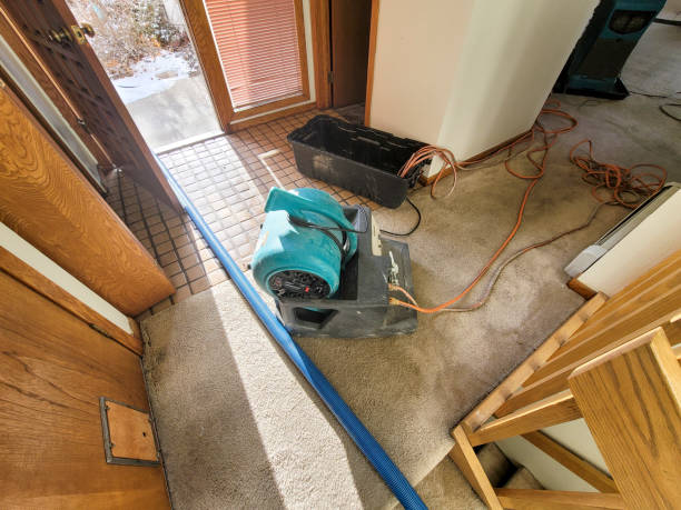Best Water damage restoration near me  in West Columbia, TX