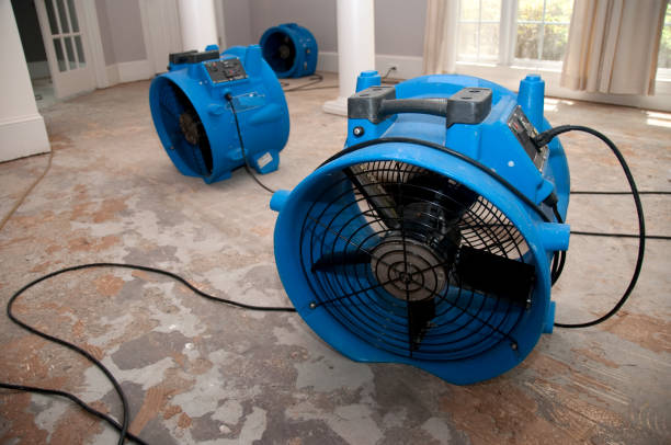 West Columbia, TX Water damage restoration Company