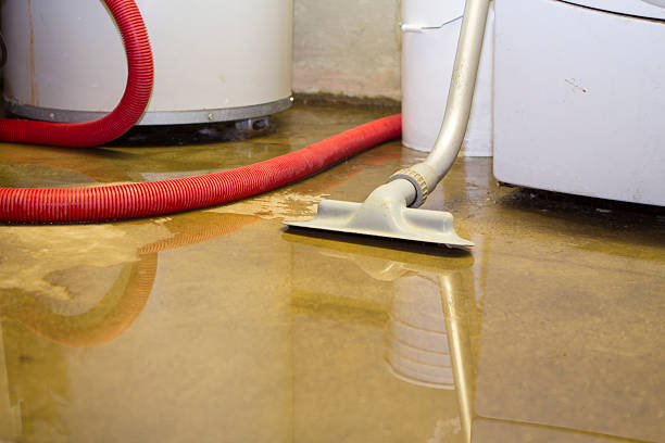 Best Flood restoration services  in West Columbia, TX