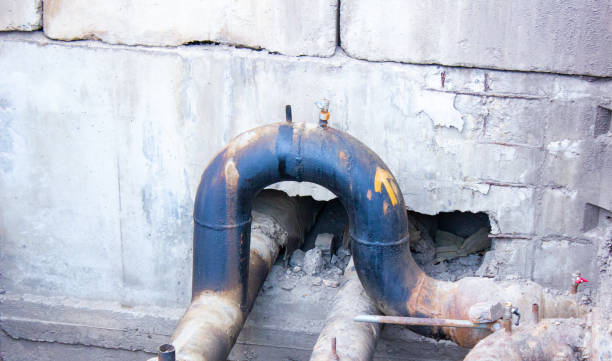 Best Professional water damage repair  in West Columbia, TX