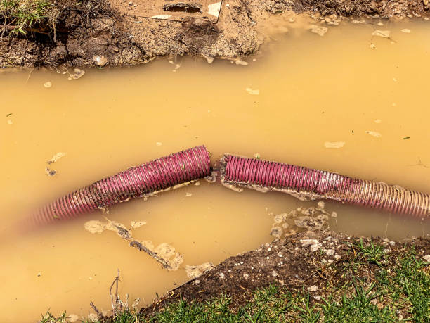 Best Local water damage restoration  in West Columbia, TX